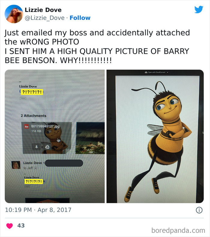 I've Accidentally Attached The Wrong Photo And Sent It To My Boss
