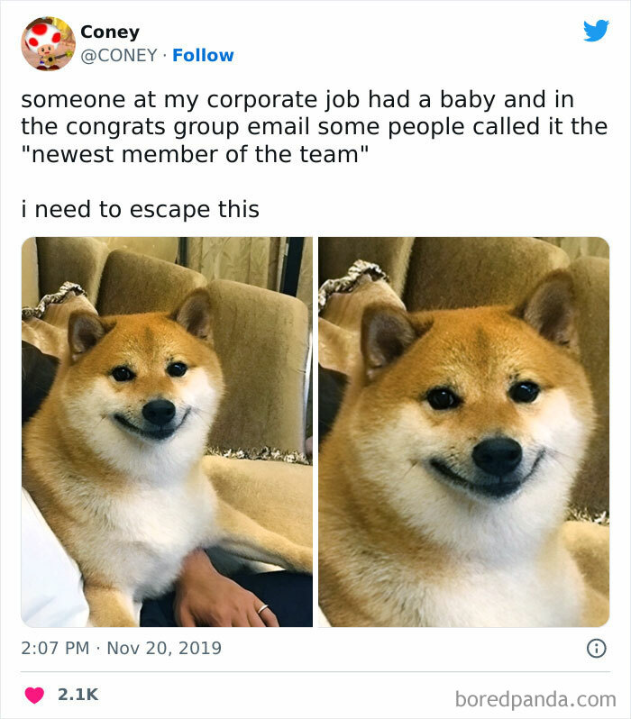 Get The Baby A Little Suit And Put Them In Reception