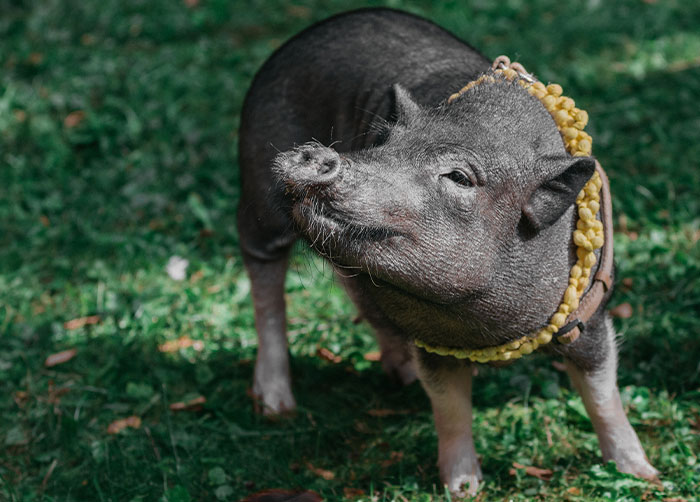 30 People Share What Happened With Their Prizes After Winning A Game Show