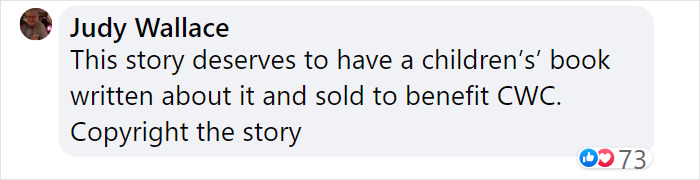 Goose Taps On The Door Of Wildlife Clinic, Demands To See Mate, Stays Through The Surgery