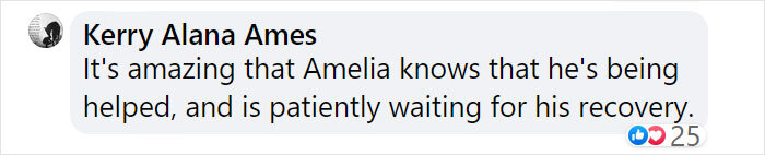 Goose Taps On The Door Of Wildlife Clinic, Demands To See Mate, Stays Through The Surgery