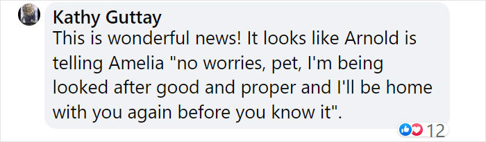 Goose Taps On The Door Of Wildlife Clinic, Demands To See Mate, Stays Through The Surgery