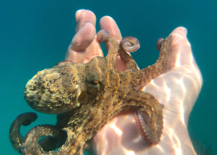 30 Times People Lost Their Job In The Most Ridiculous Way And Just Had To Share