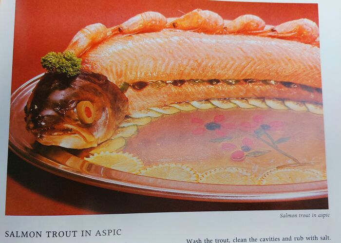 The Look On It's Face Though!