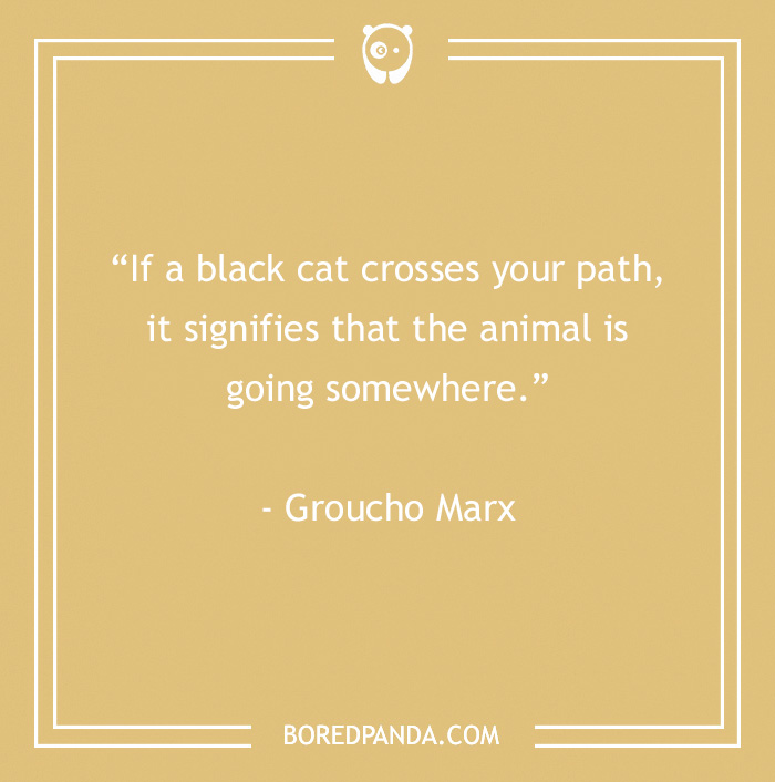 Groucho Marx quote about a black cat crossing the path, featured in funny Groucho Marx quotes collection.