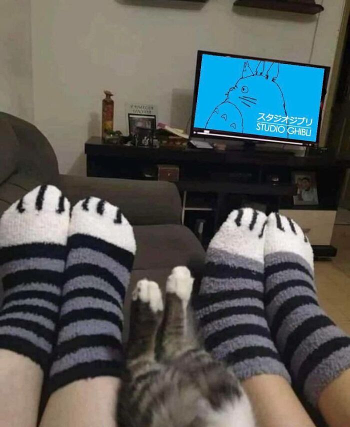 Cozy scene with matching socks and a cat watching Studio Ghibli on TV.