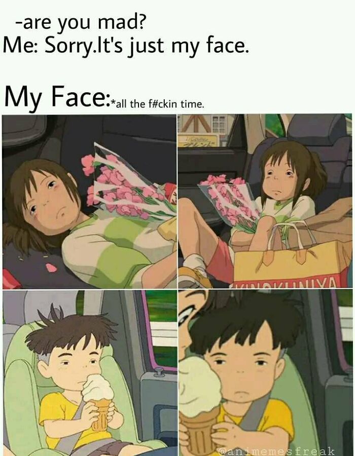 Studio Ghibli meme with characters in a car looking unimpressed with flowers and ice cream.