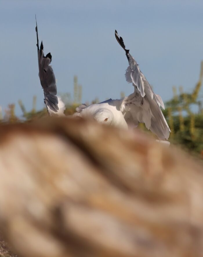 Can't You Let Me Sh..t Without Taking Pictures Of Me?