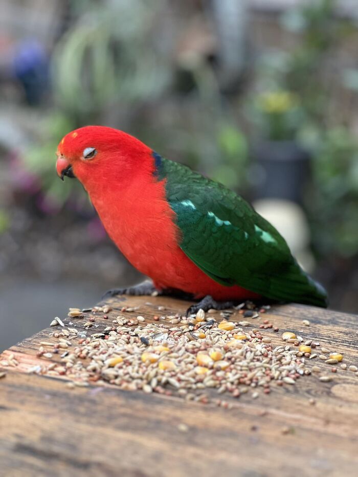 Not Sure Why He’s Giving Me Side Eye