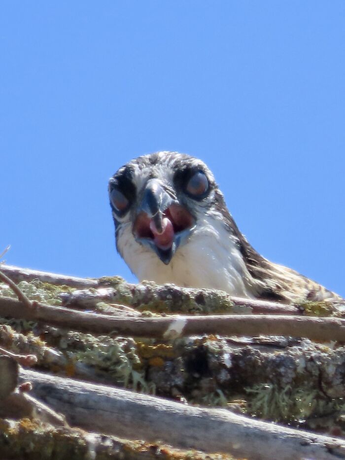 Got A Picture Of The 'Cute' Baby