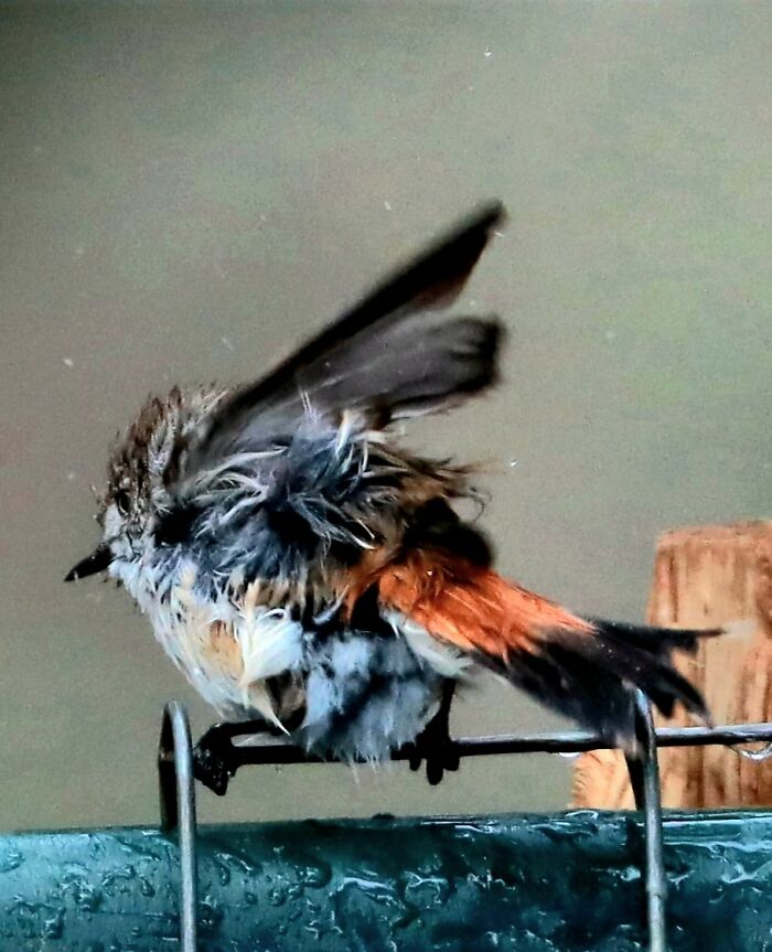 Bathtime Makes For Awesomely Crap Photos!