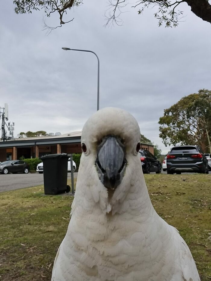 Got Any Games On Your Phone