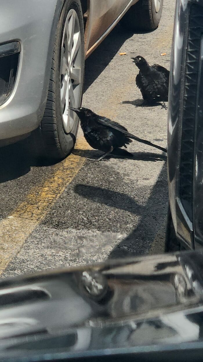 They Stayed Like This For Minutes Without Moving At All! What's Crap... Is The Cigarette Butts They Were Having To Step Over To Get To Their Shiny