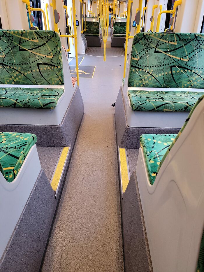 Framed This Pigeon Perfectly