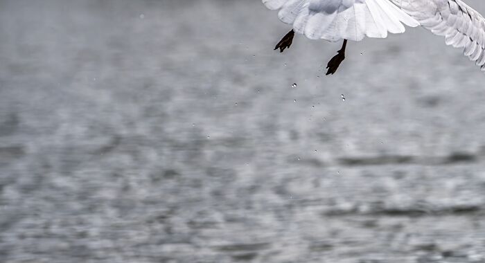 Missed It By That Much