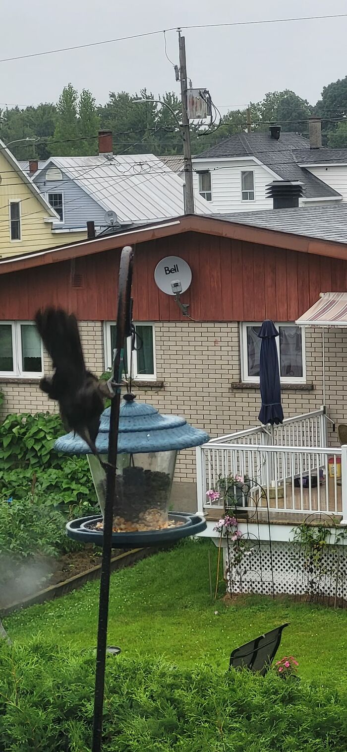 Slip And Slide In The Rain