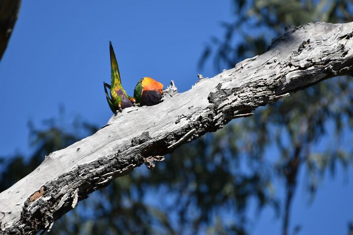 I Guess Two Halves Make A Whole?