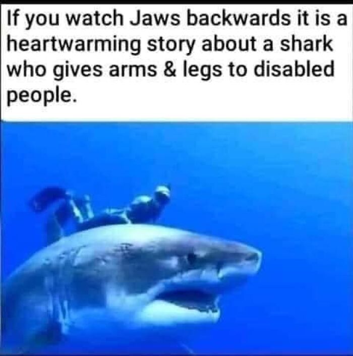 Hilarious-Brainy-Memes