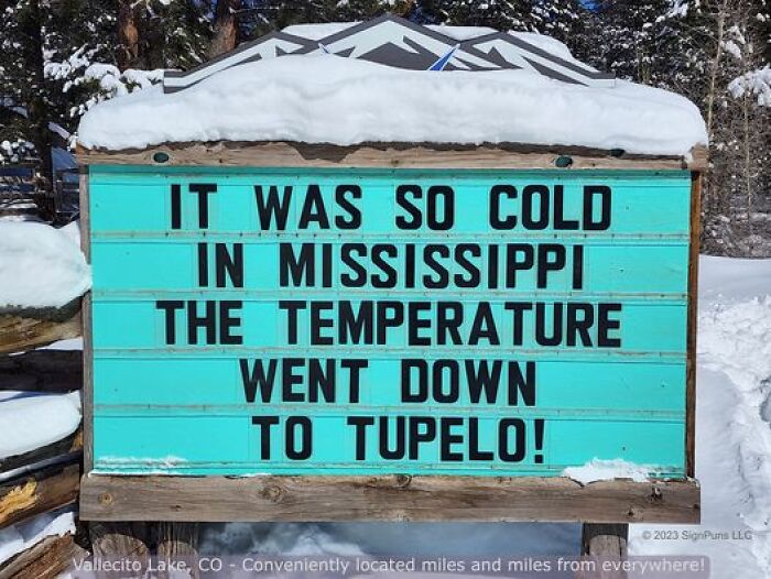 Hilarious-Puns-Public-Signs