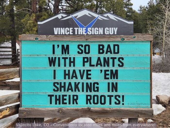 Hilarious-Puns-Public-Signs