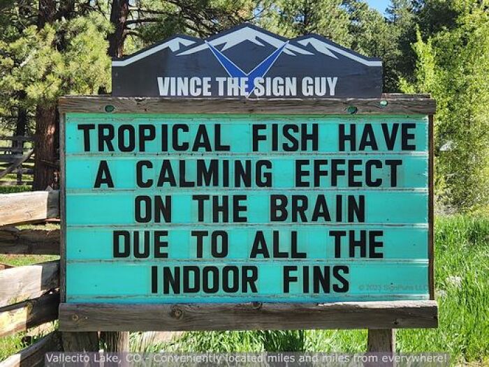 Hilarious-Puns-Public-Signs