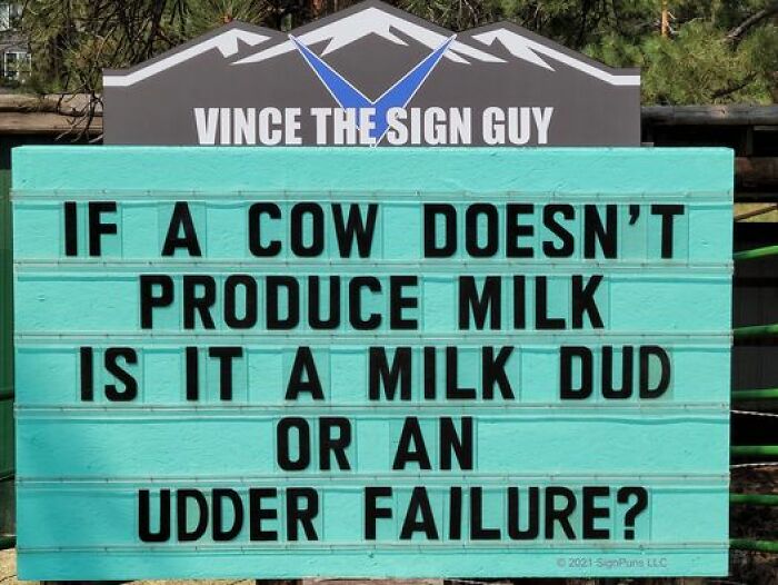 Hilarious-Puns-Public-Signs