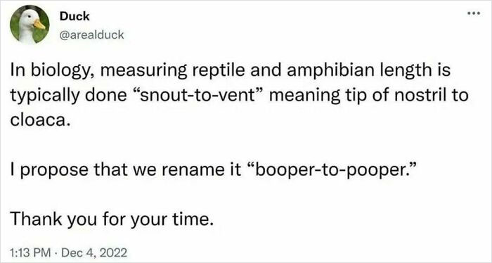Tweet about biology measurement humor suggesting to rename “snout-to-vent” length to “booper-to-pooper” in science humor jokes.