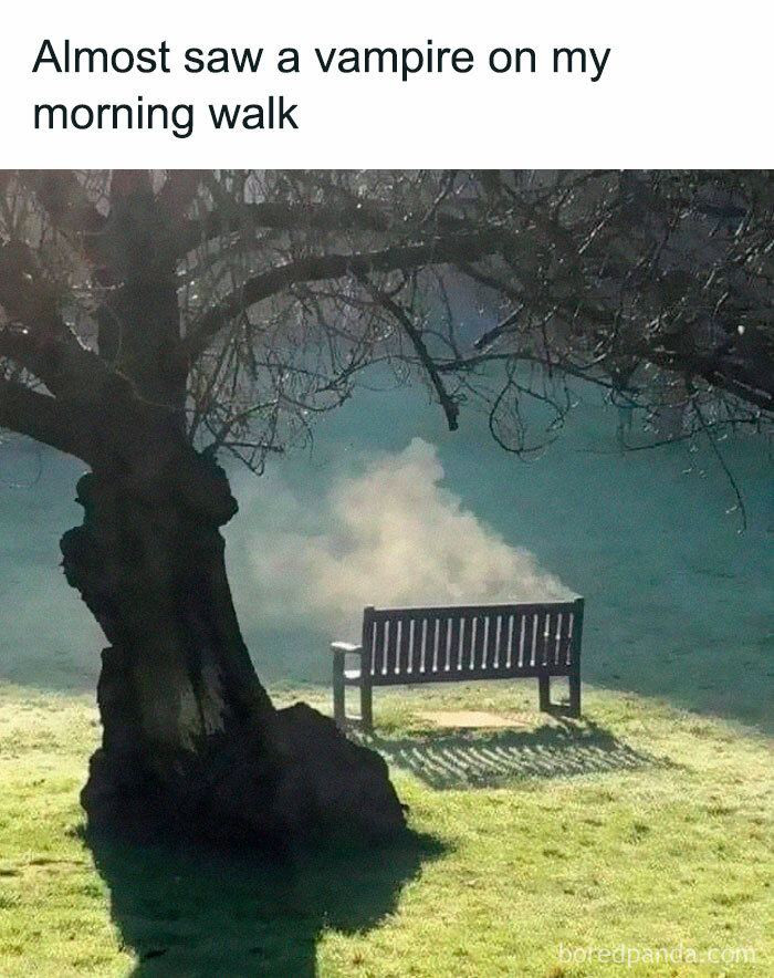 Park bench with mist rising behind it under bare tree branches, a humorous science humor joke about a vampire sighting.