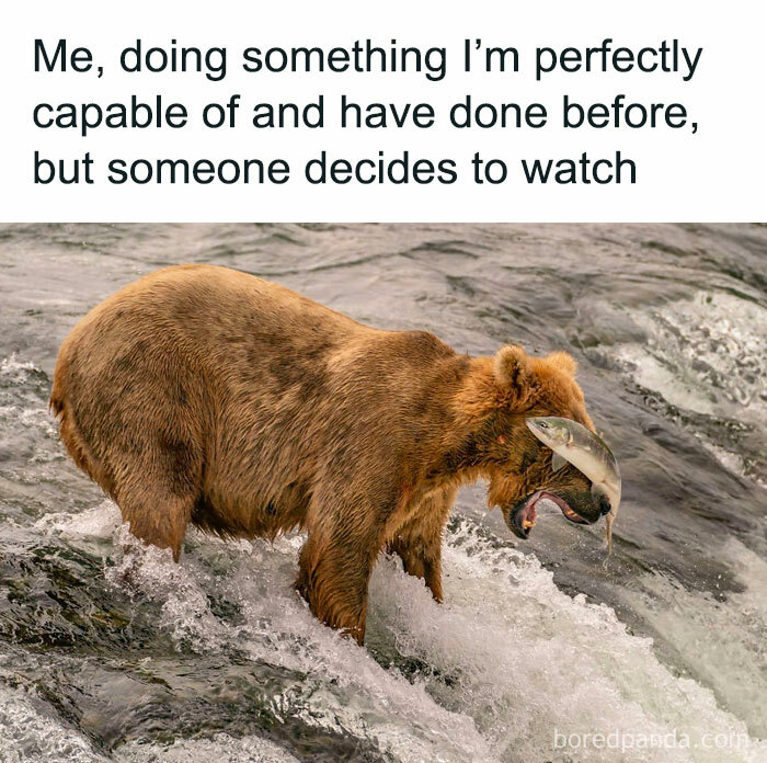 Bear catching a fish in a river with caption about doing something capable of, fitting science humor jokes.