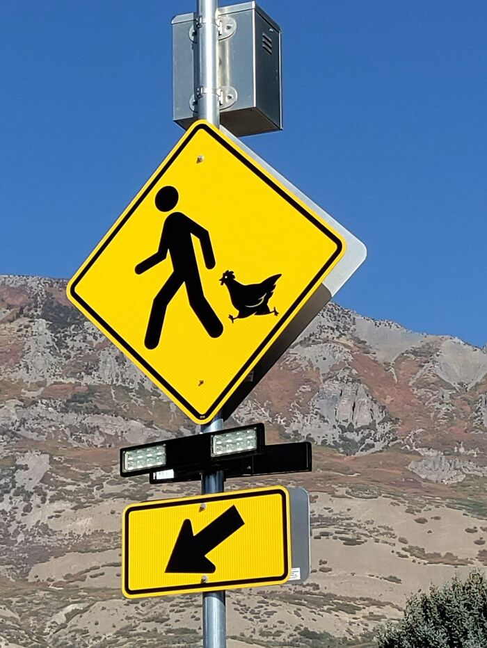 Hilarious-Useless-Unsuccessful-Unpopular-Signage