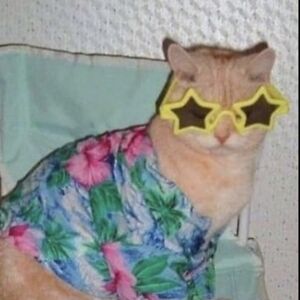 itsjustme-gnomee avatar