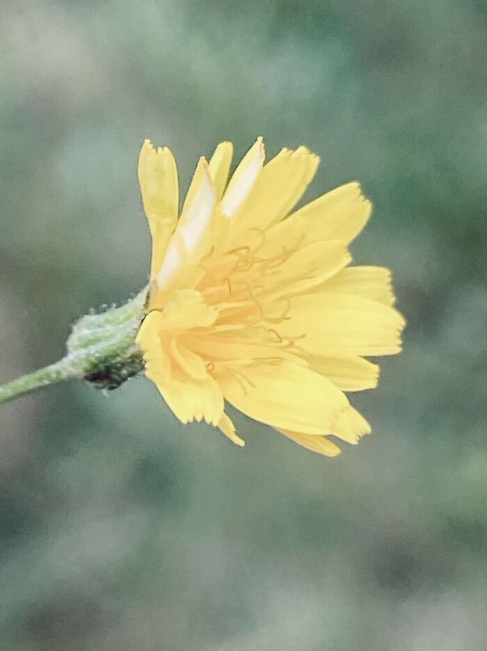 Taken With A(N) iPhone 11, I’m Not Sure How I Got It So I’m Detail And Perfect 🤍🤍🤍🤍