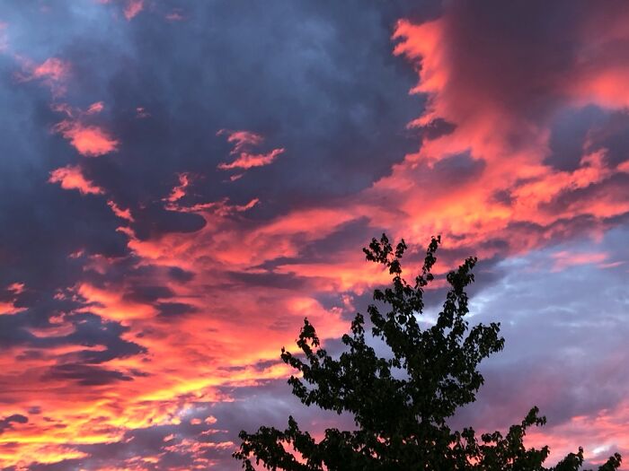 Center Valley In Pa, About A Week After Lockdown Ended