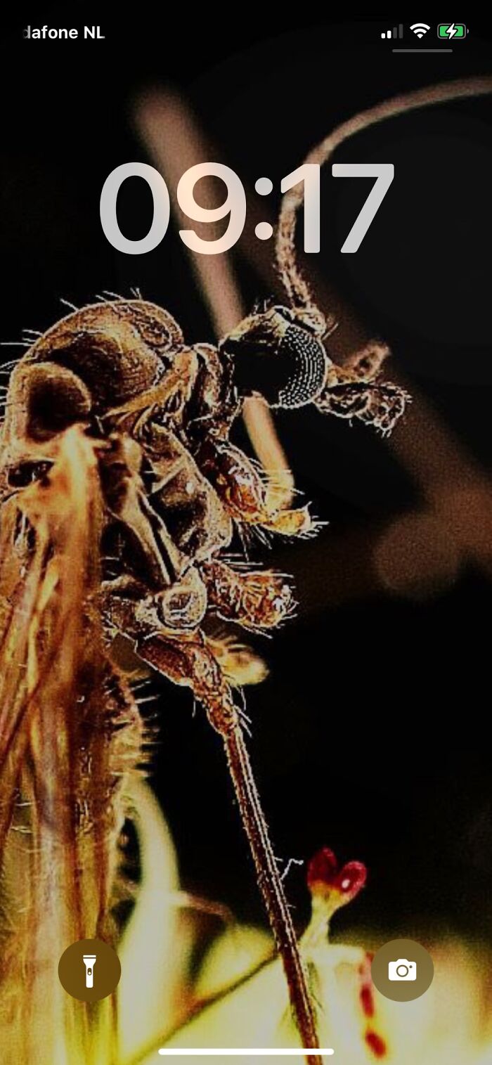 My First Ultra Macro Shot