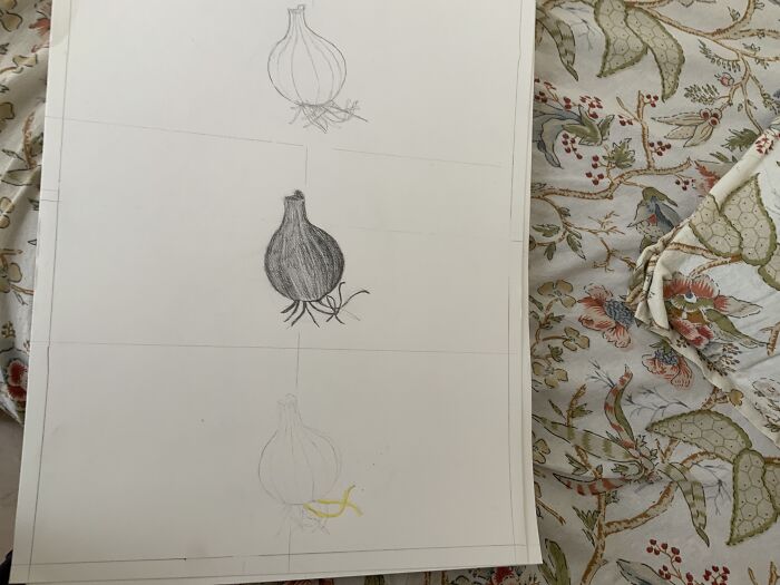 This Onion Is The Best Thing I’ve Drawn So Far