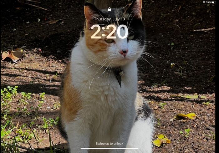 Me When I Wake Up :l