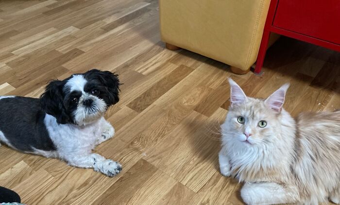 “What? Can’t You See We’re Having A Conversation?”