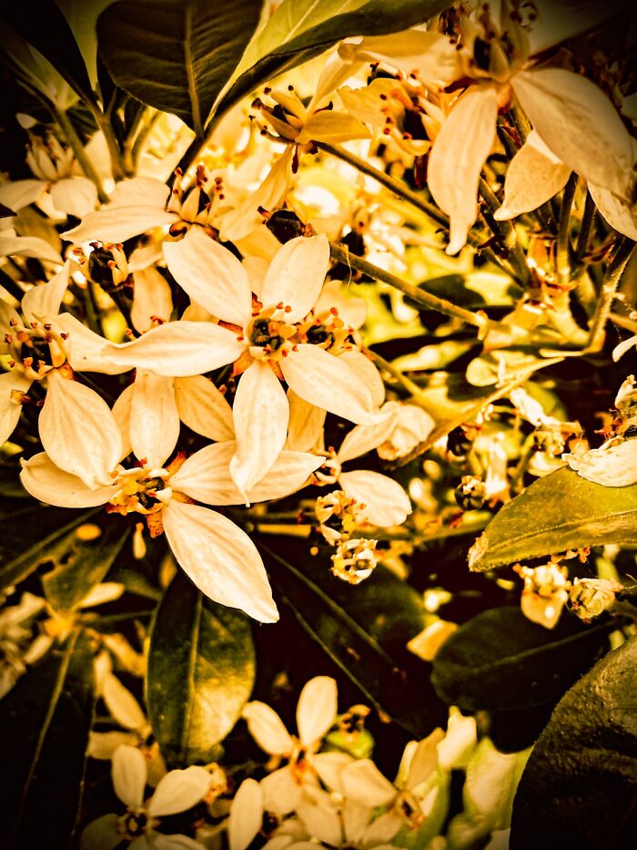 Here&rsquo;s Some Photos That I Took