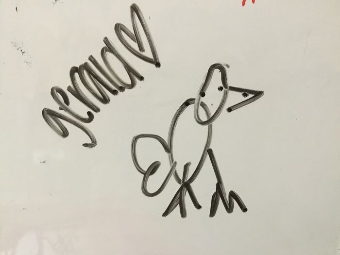 This Is Gerald. He Has Had A Rough Day. We Love Gerald Nonetheless. Right?