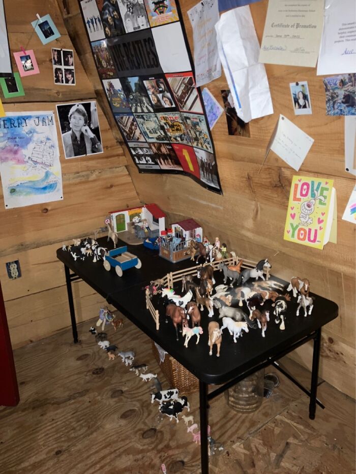 My Schliechs And John Denver Picture And A Beatles Poster