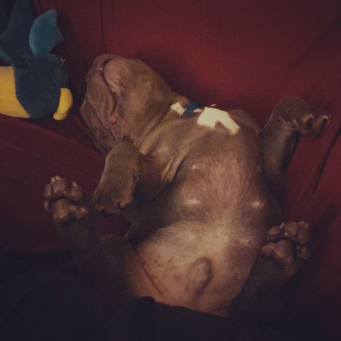 Frank Sleeps Funny