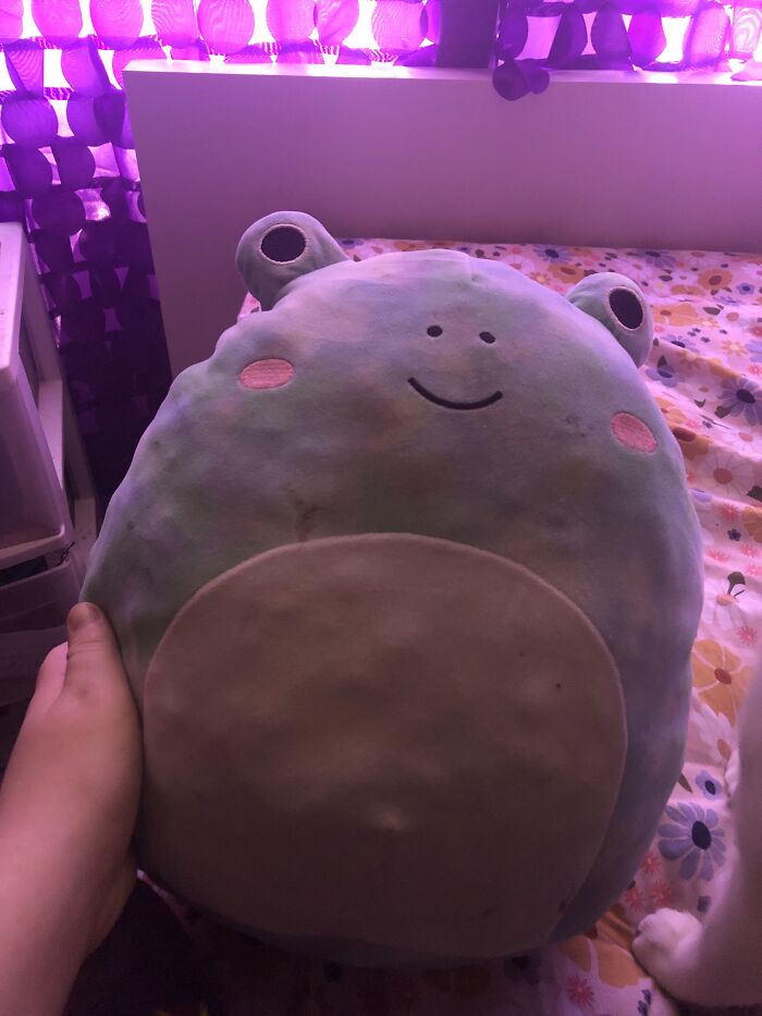 Just The One! (Ignore The Cat Paw)