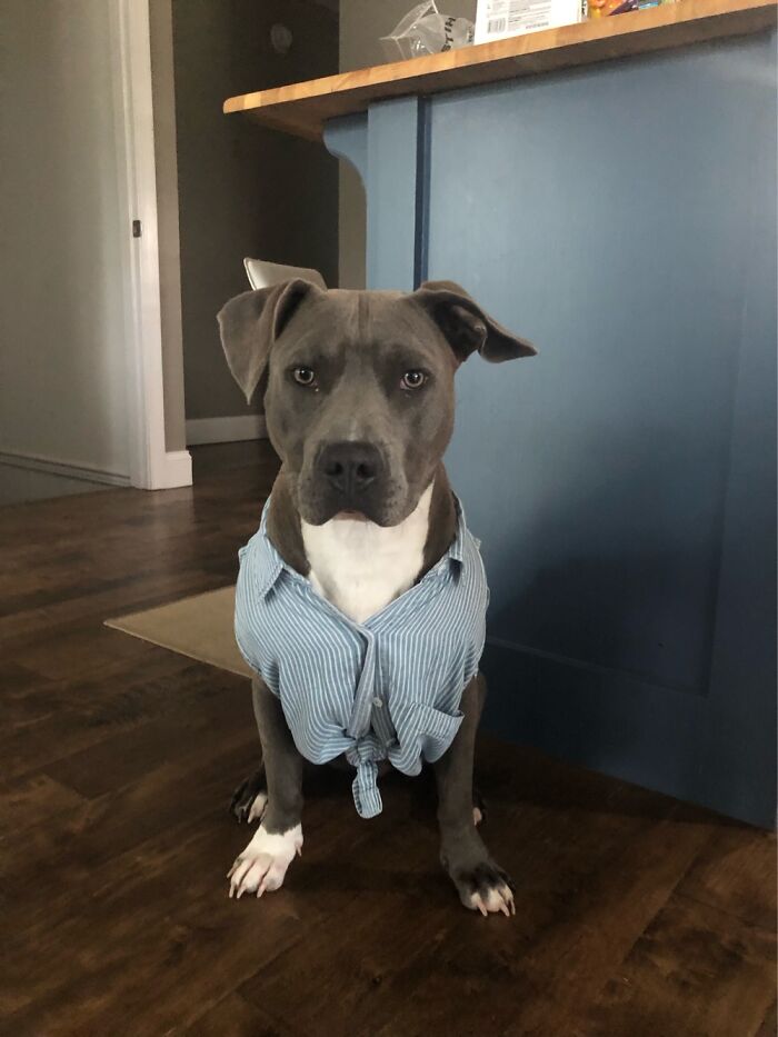 My Afternoons With Ramona 