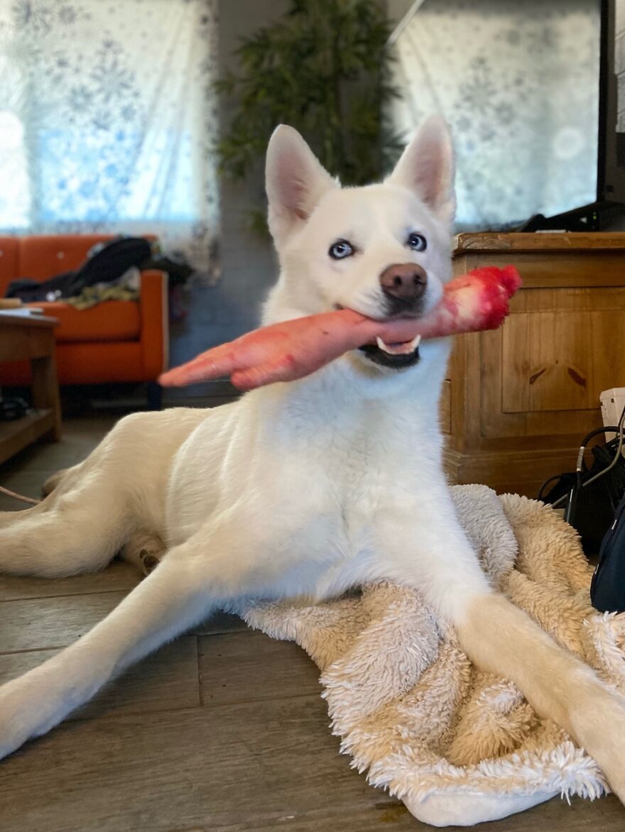 Can I Lend You A Hand?!!