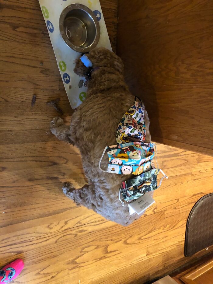 My Daughter Thought He Needed To Wear Some Masks