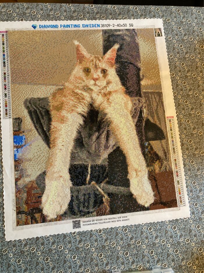 Large Diamond Painting Depicting Our Cat