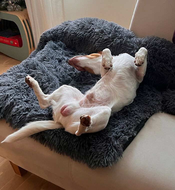 I Sleep However I Want To (Milo)