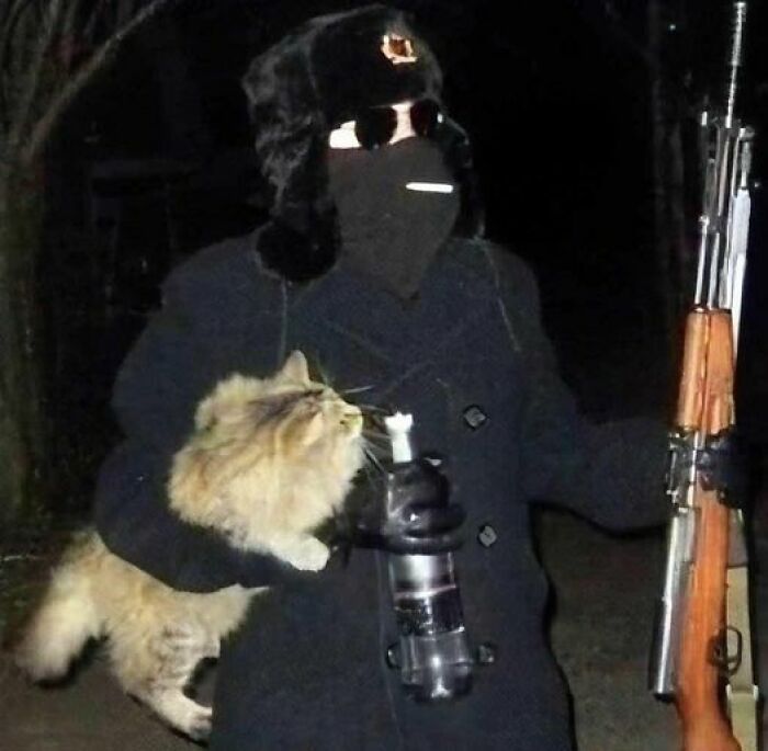 Don’t Forget The Cat!