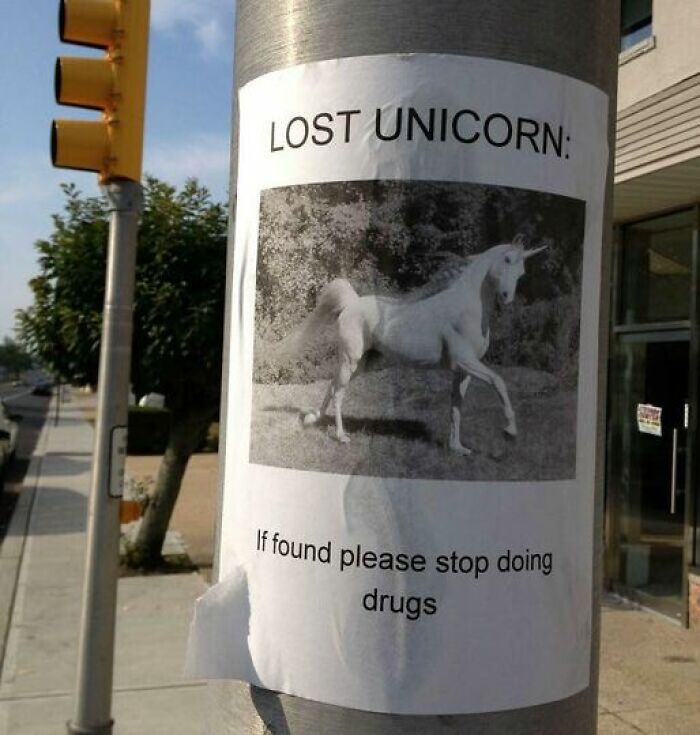 Lost Unicorn