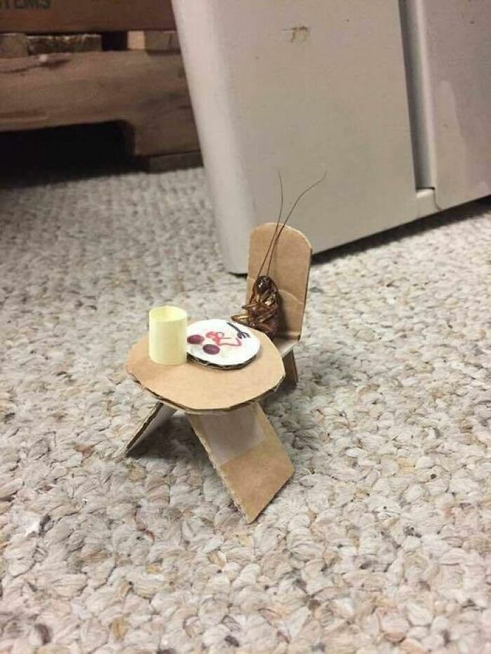 Cocktail Party Of One